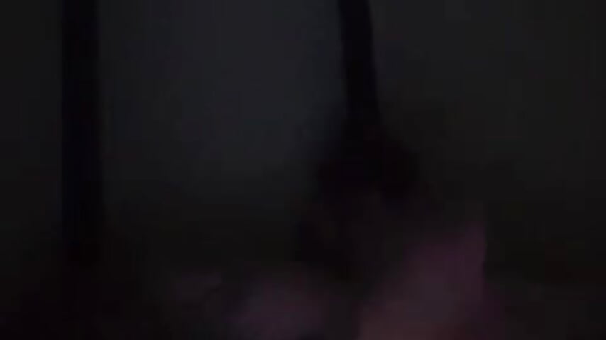 SHAKE IT IN YOUR FACE