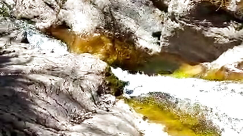 Pirineus – Populær cam-modelvideo 2435
