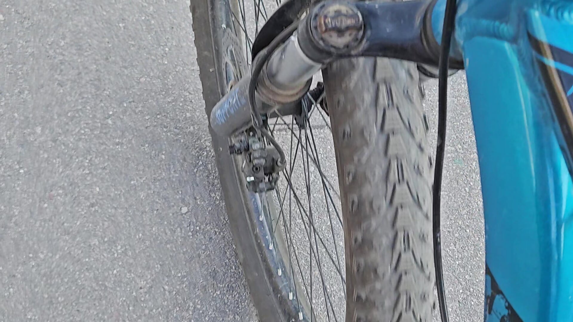 Cycle - Vídeo de FetishLady89, modelo de vídeos
