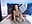 Riding dildo - video by lizha_milf cam model