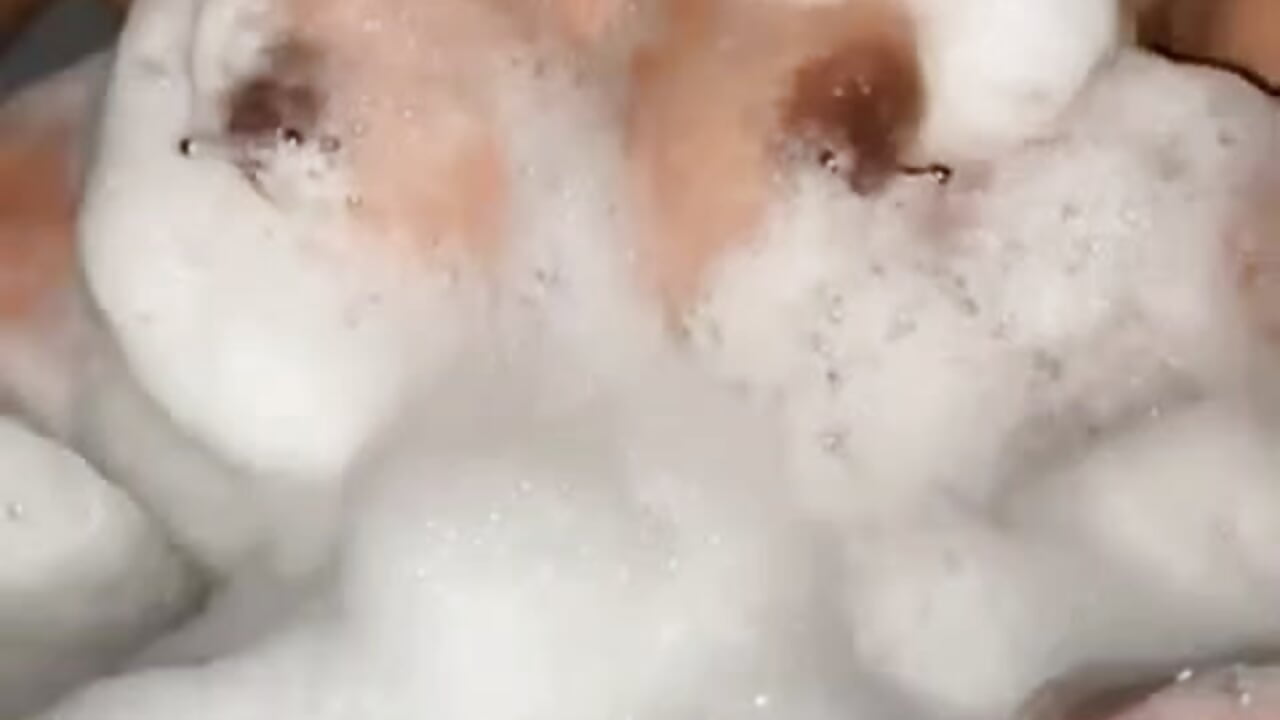 Small titis in foam