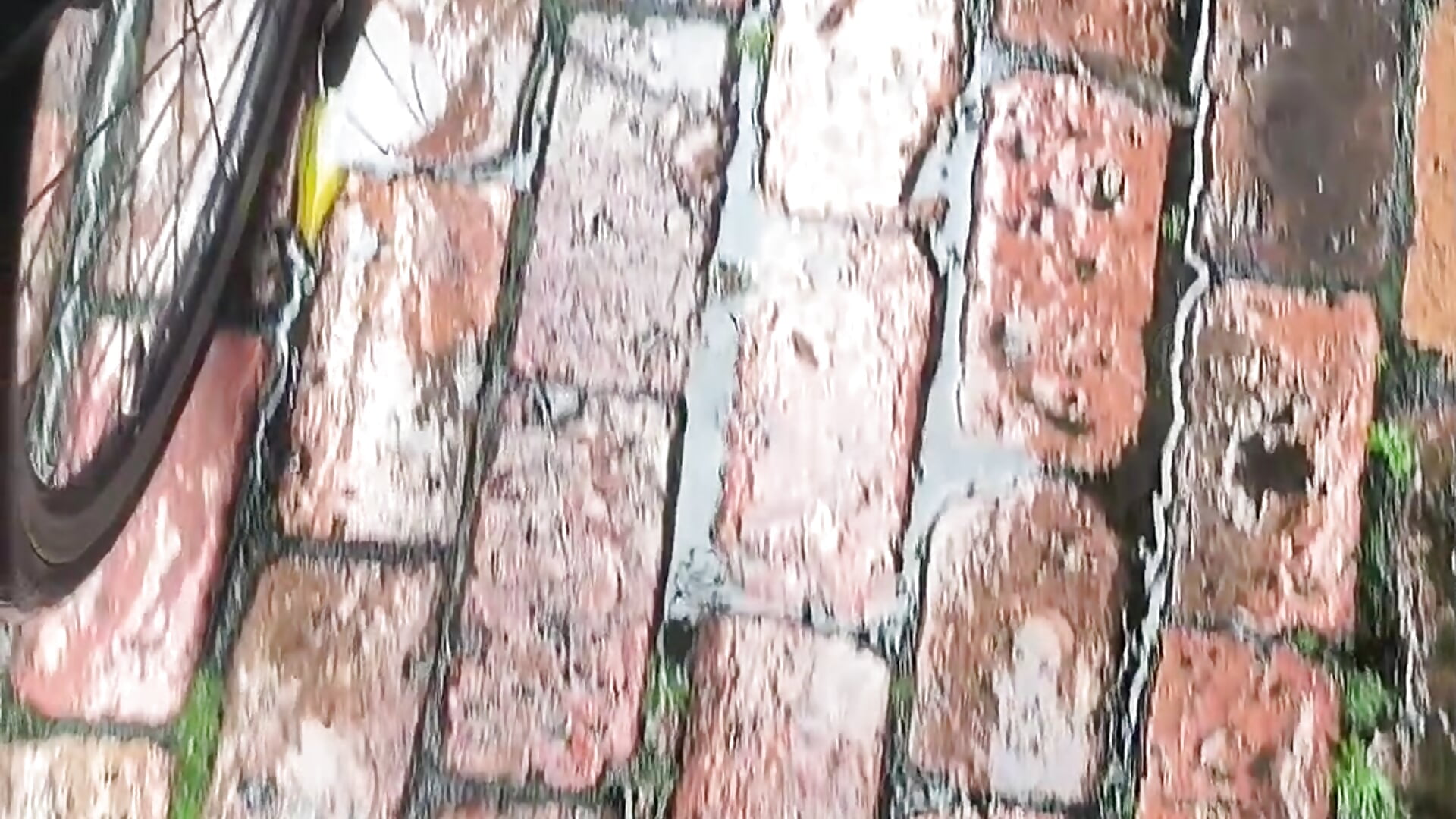 Wet - video by salome_stockman_s cam model