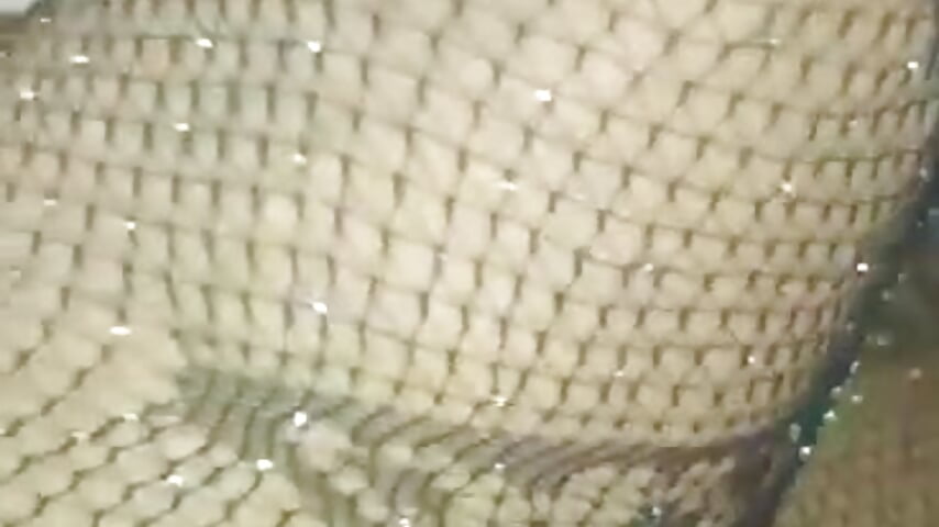 Tail plug－カメラキャストのCassi83の動画