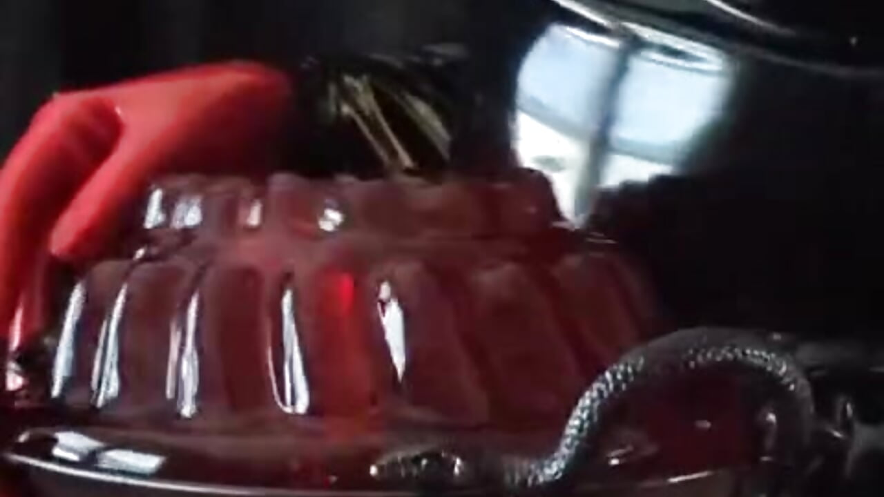 ⚠️ NEW FETISH CLIP AVAILABLE ⚠️ Calling all ballbusting enthusiasts... - Video von saralovens Cam-Model