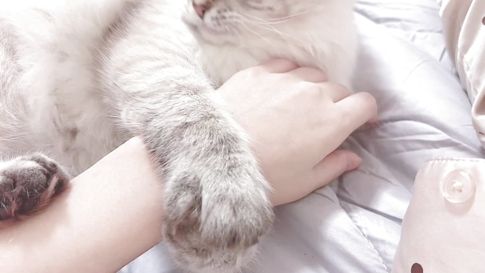 video-output-C0E500FA-290F-440F-8895-57622C04BEEB-1 - video by nene_no_nyanko cam model