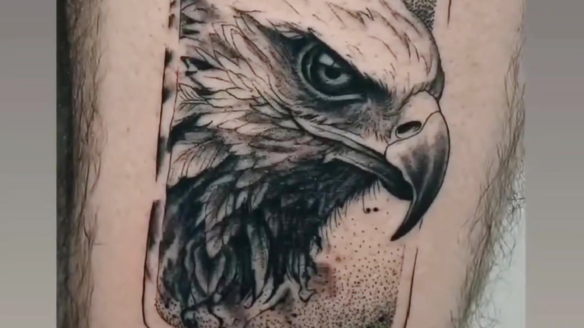 Screen_Recording_20260325_040939_Instagram - βίντεο μοντέλου young_bear06