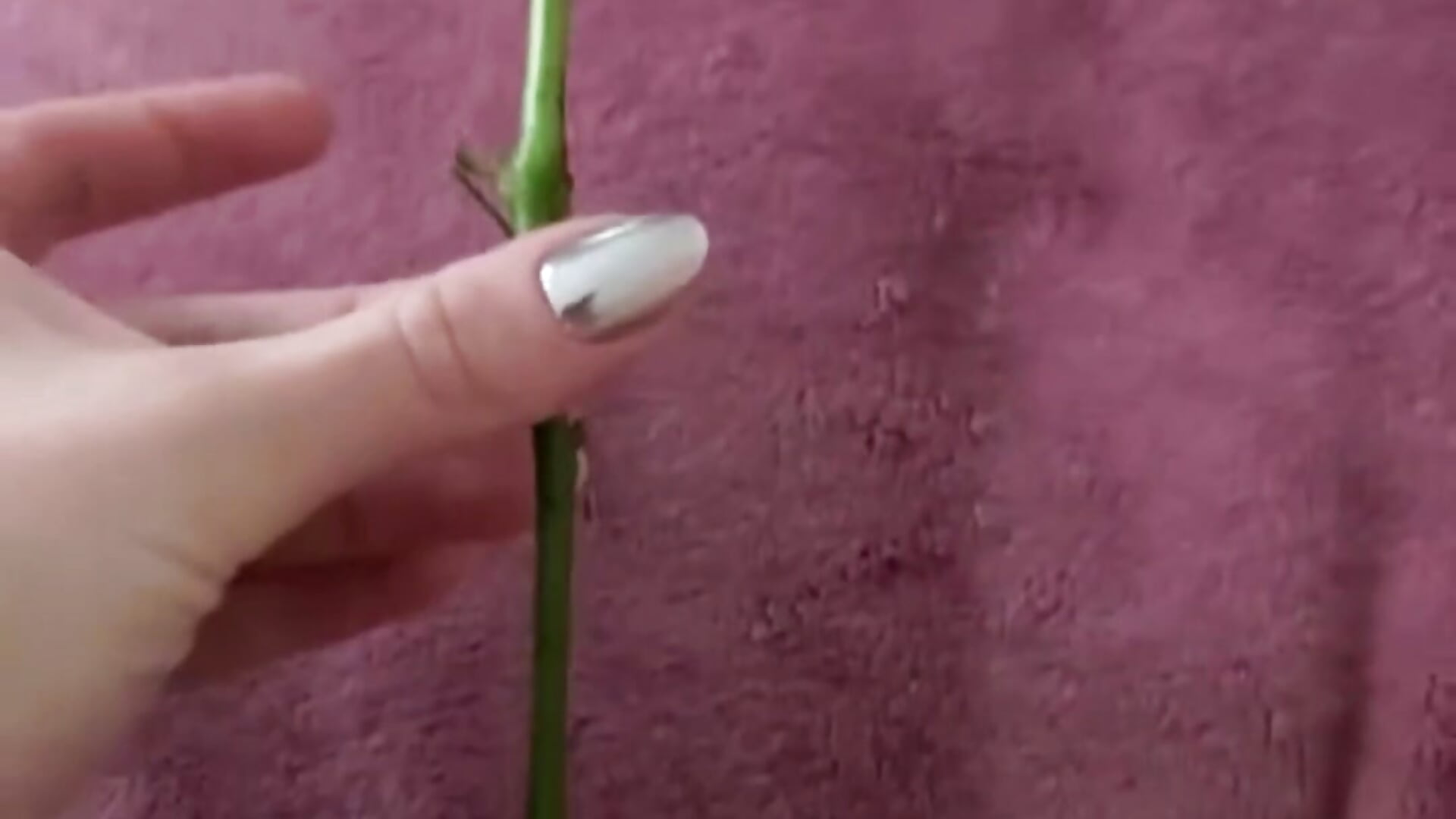 🙊🙊💦💦 - video oleh model kamera Maraamm