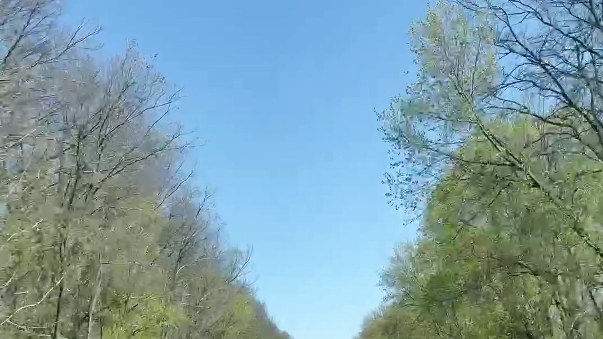 trip to the region
