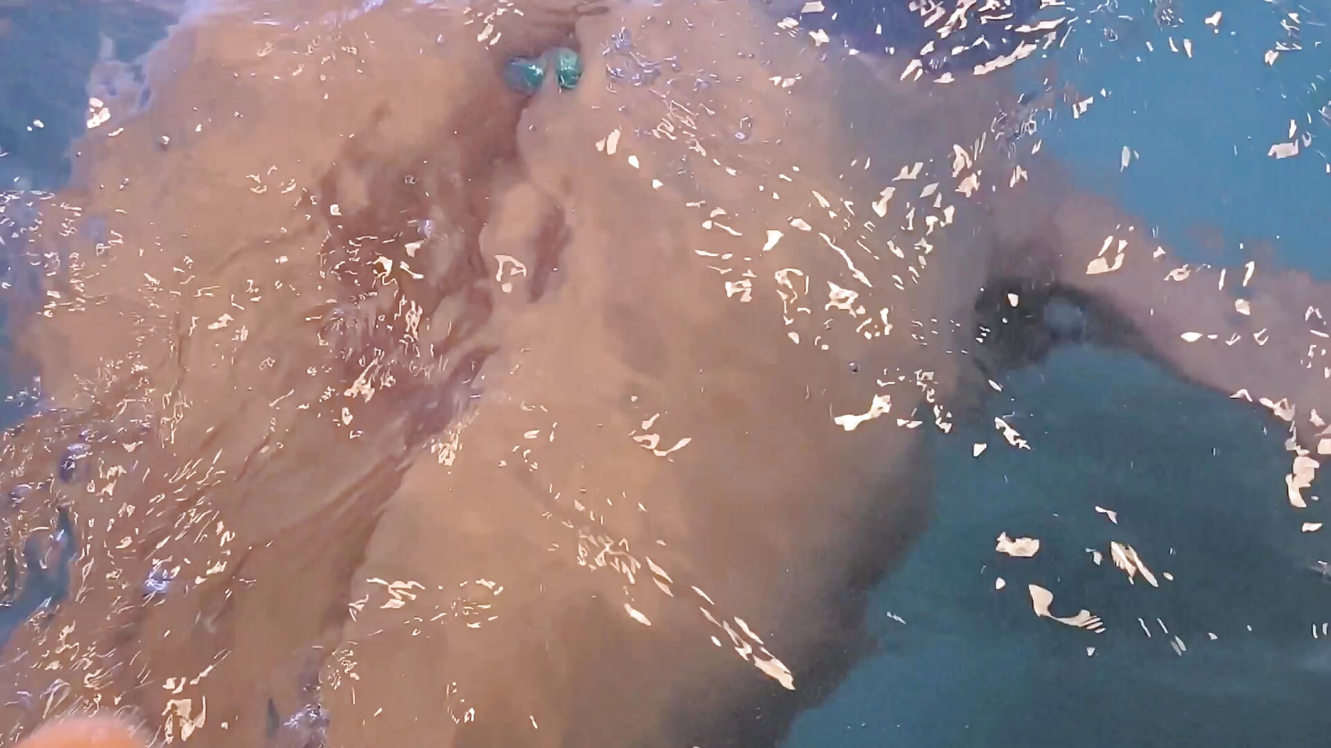 In a public pool, naked + butt plug + holding breath underwater/diving in the pool 💦 - video di Mona_Plus modella di cam