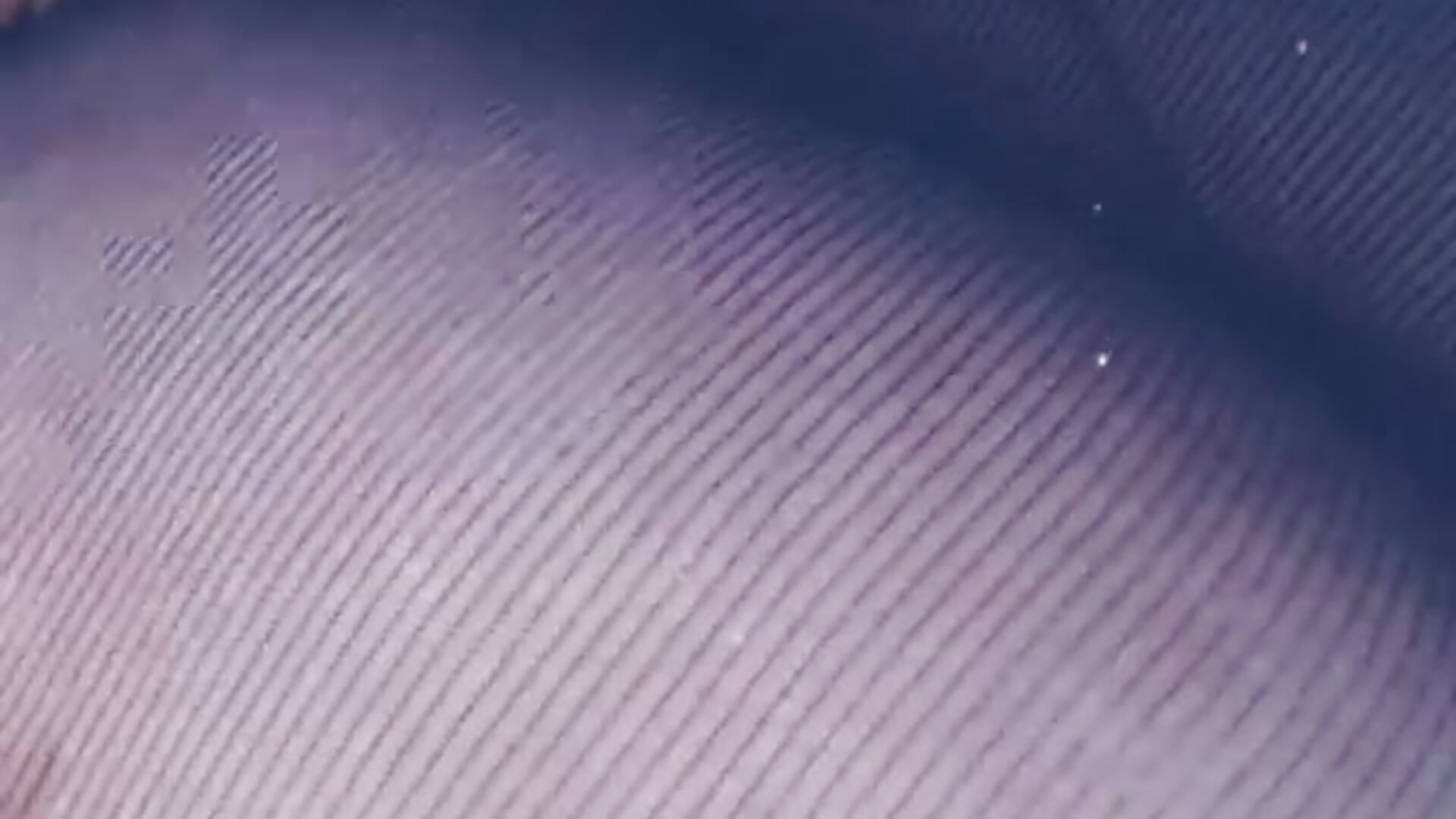 VID_20210909_130945.mp4 - video by BBW-Mimi cam model