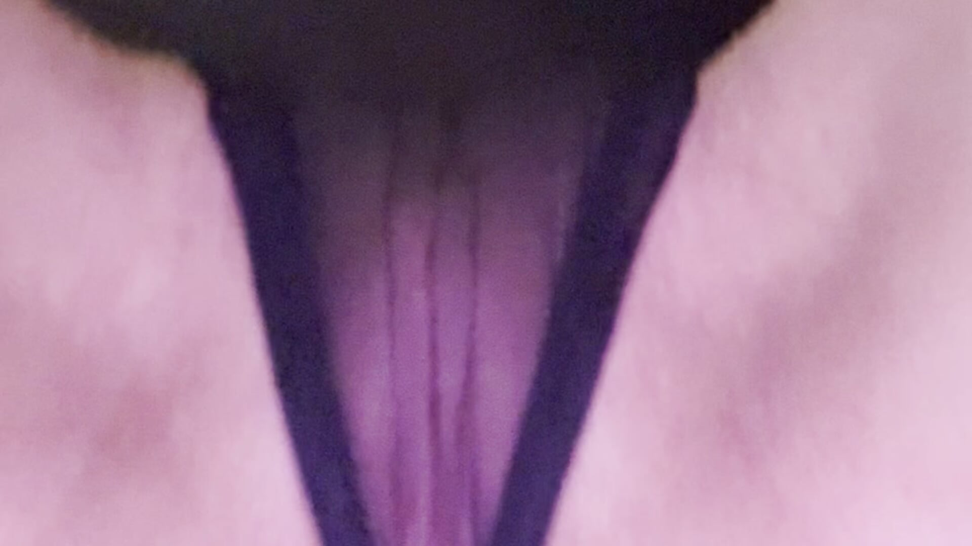 sitting on your face with black transparent panties - video by xxx_torrry cam model