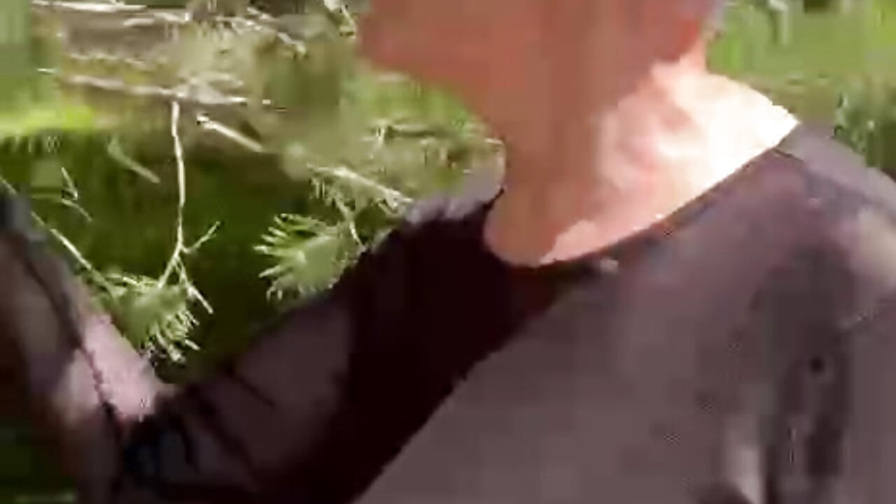 🌅🌲✨ — Bright morning, fresh forest — nature in all its glory! - video di Sandra_Snowflake