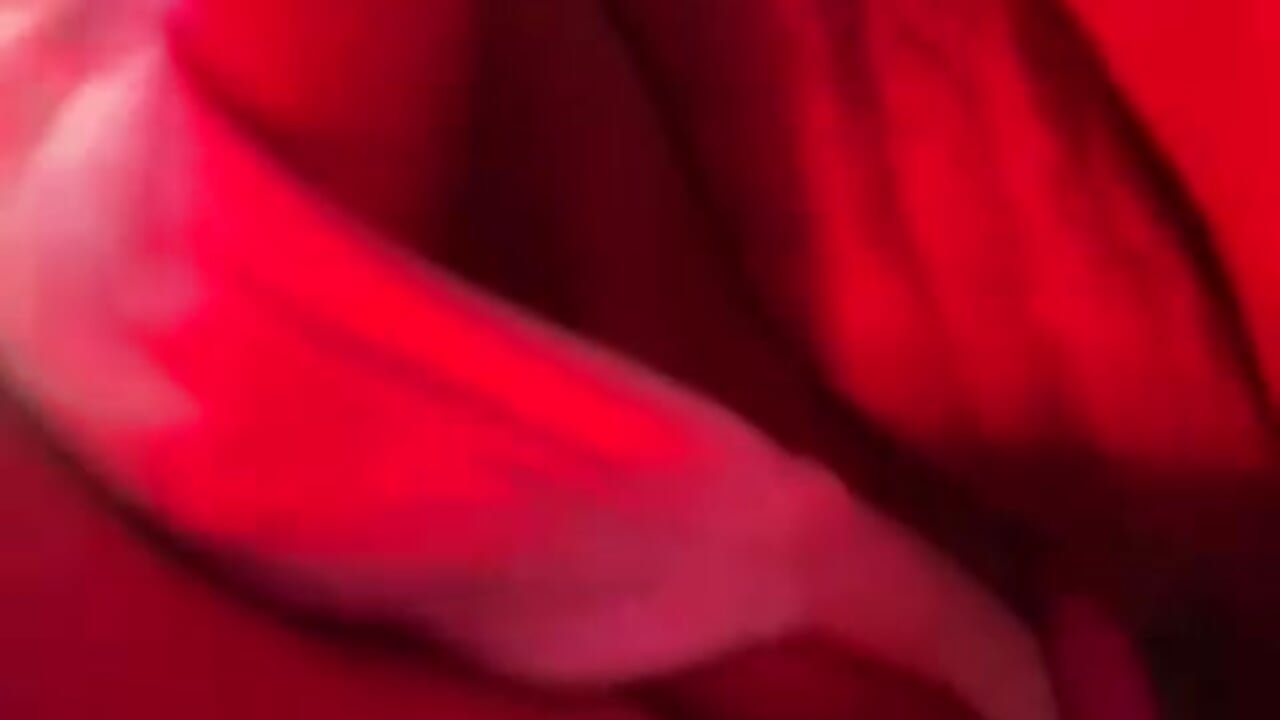 close up my pussy🍓