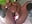 Screaming, Vibe Toy Masturbation! - Queenanitadix 的视频