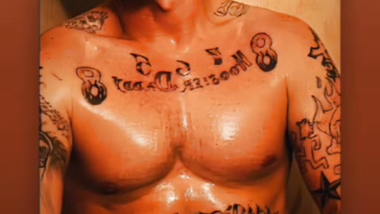 Трендове відео  2747 вебкаммоделі lambomusik