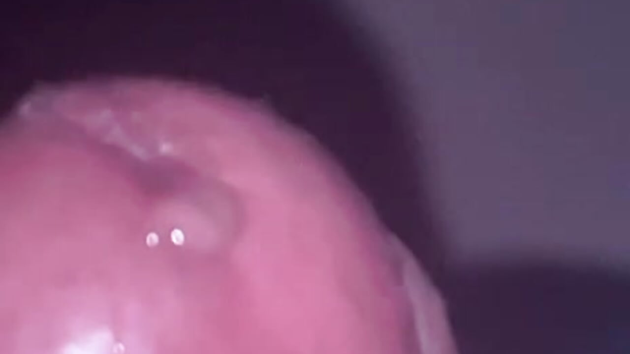 If you got here... something caught your attention.  Now look at me well. 😈 – video od webkamerové modelky Saipuer31