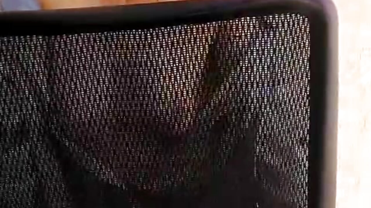 Sexy girl – видео вебкам-модели Mia_Mott