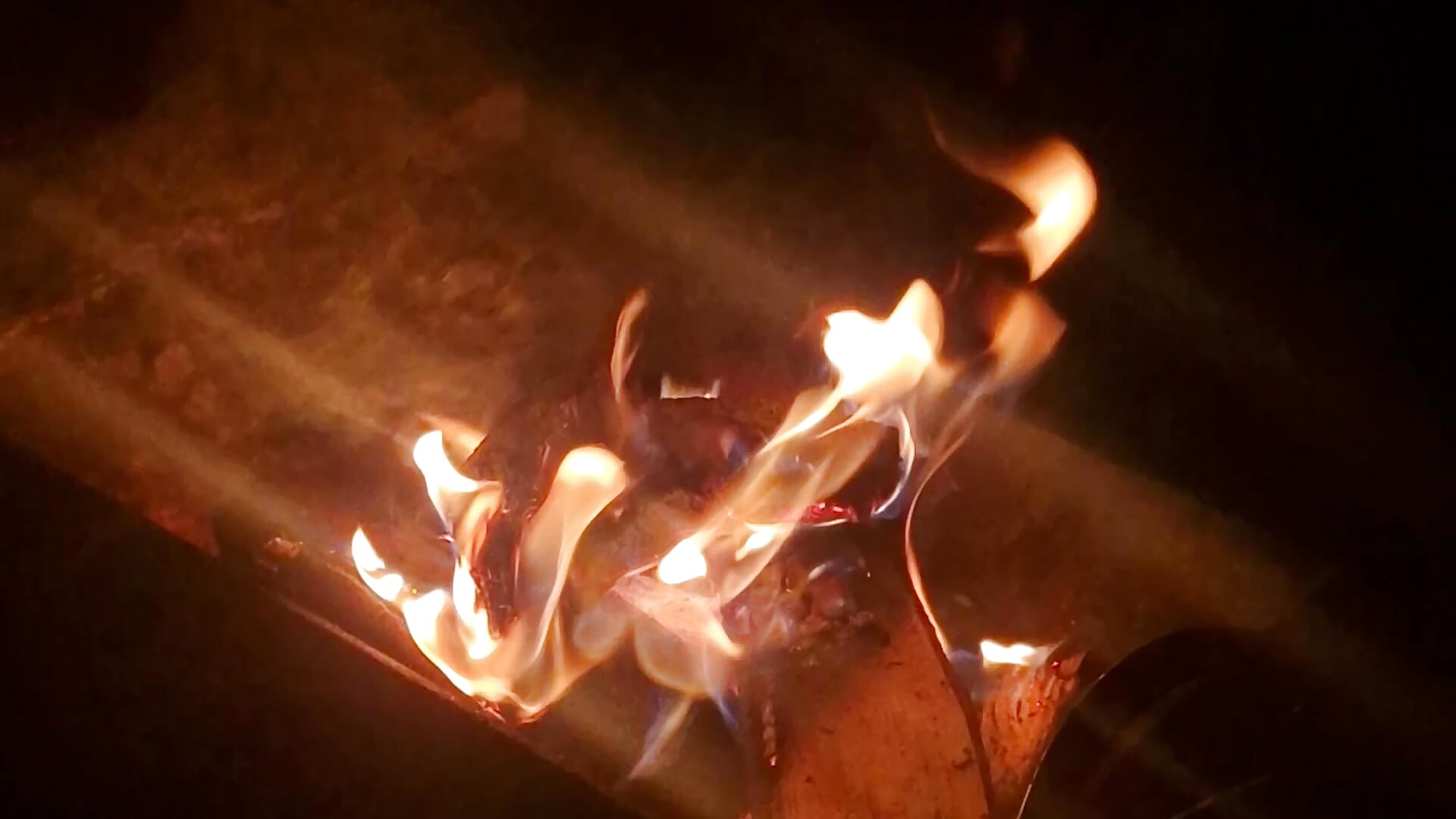 1000007771 - video by Lumut24 cam model