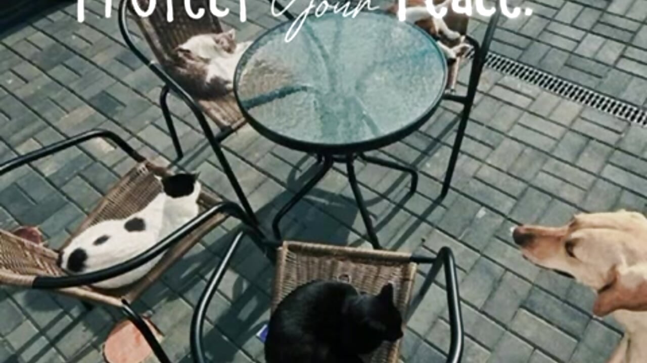 Good morning from my pet garden. - video by zoeylarkens cam model