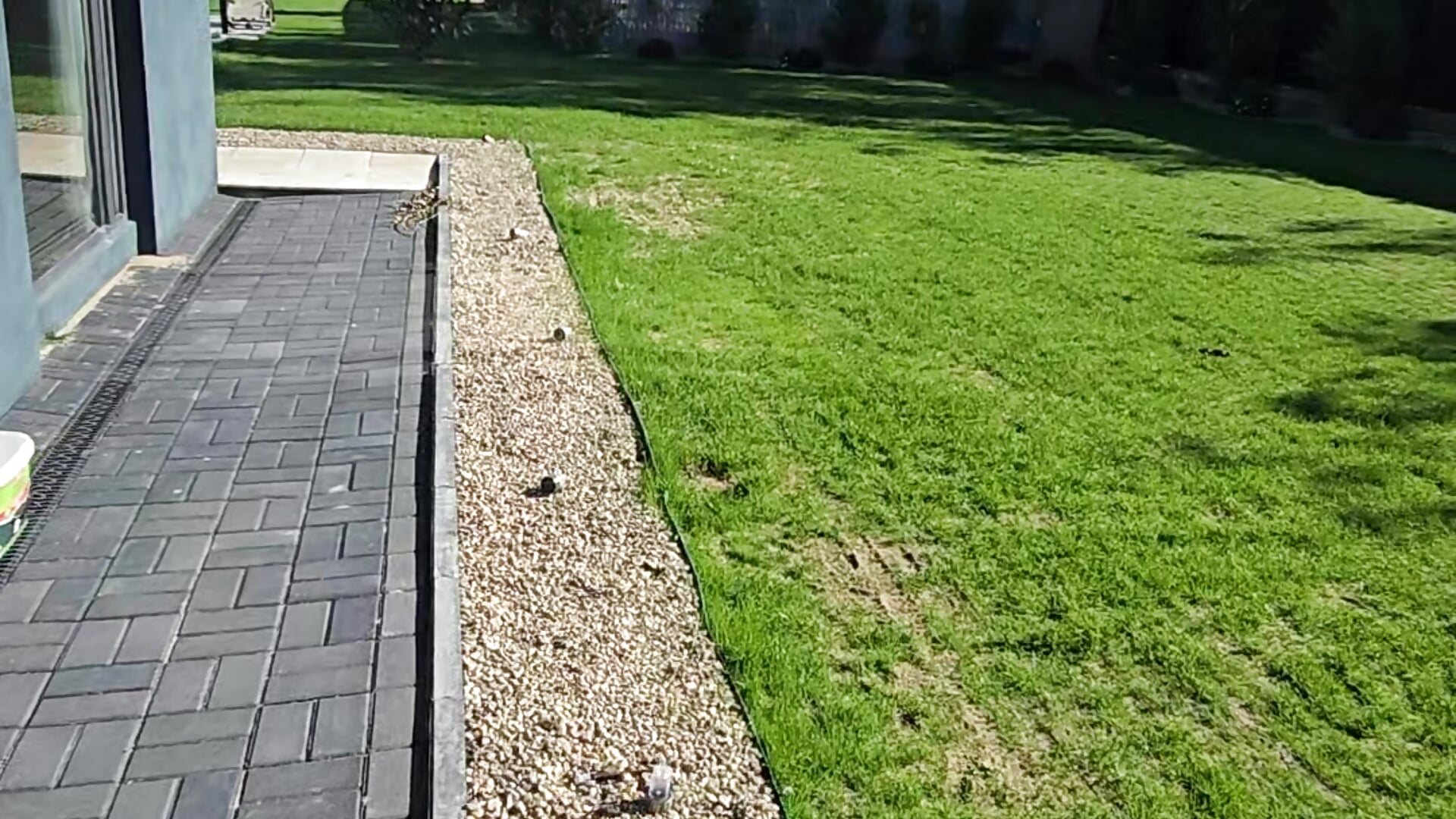 🥰🥰🥰🥰good mornyg - video by zoeylarkens cam model