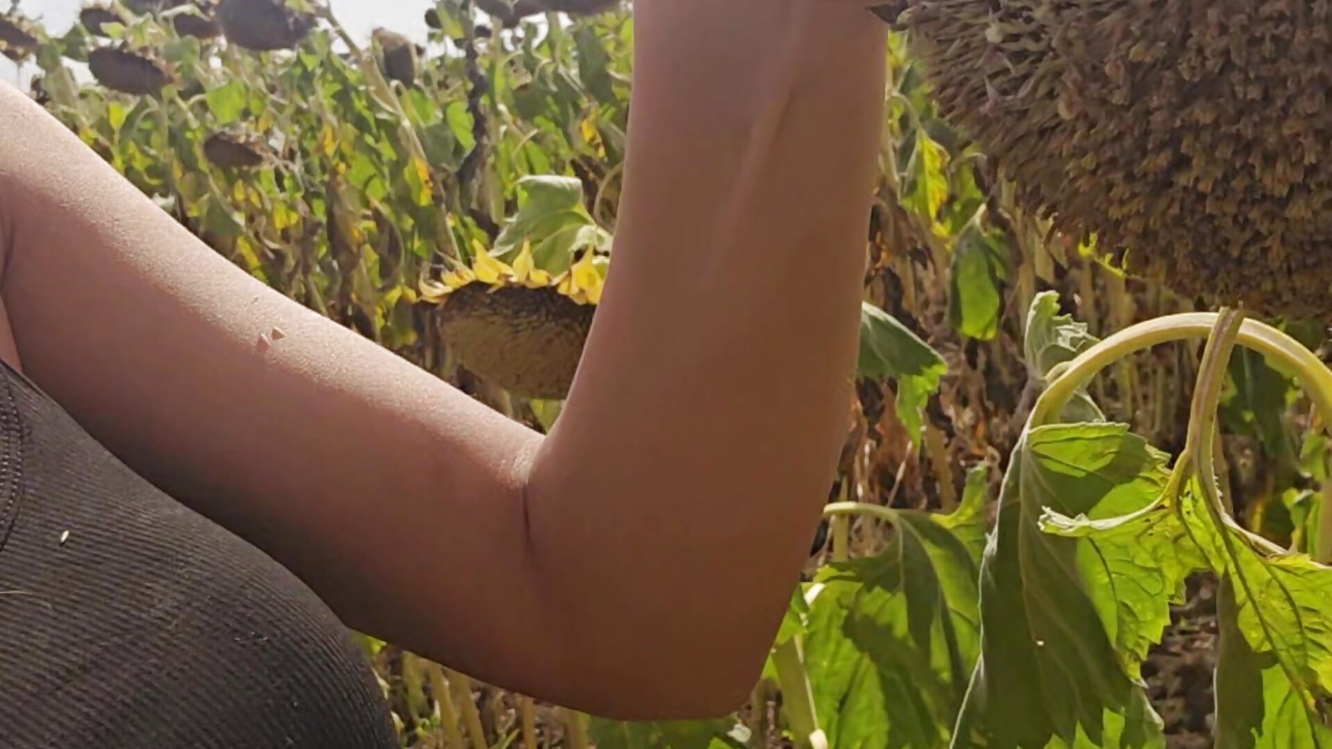 Part off day - video by zoeylarkens cam model