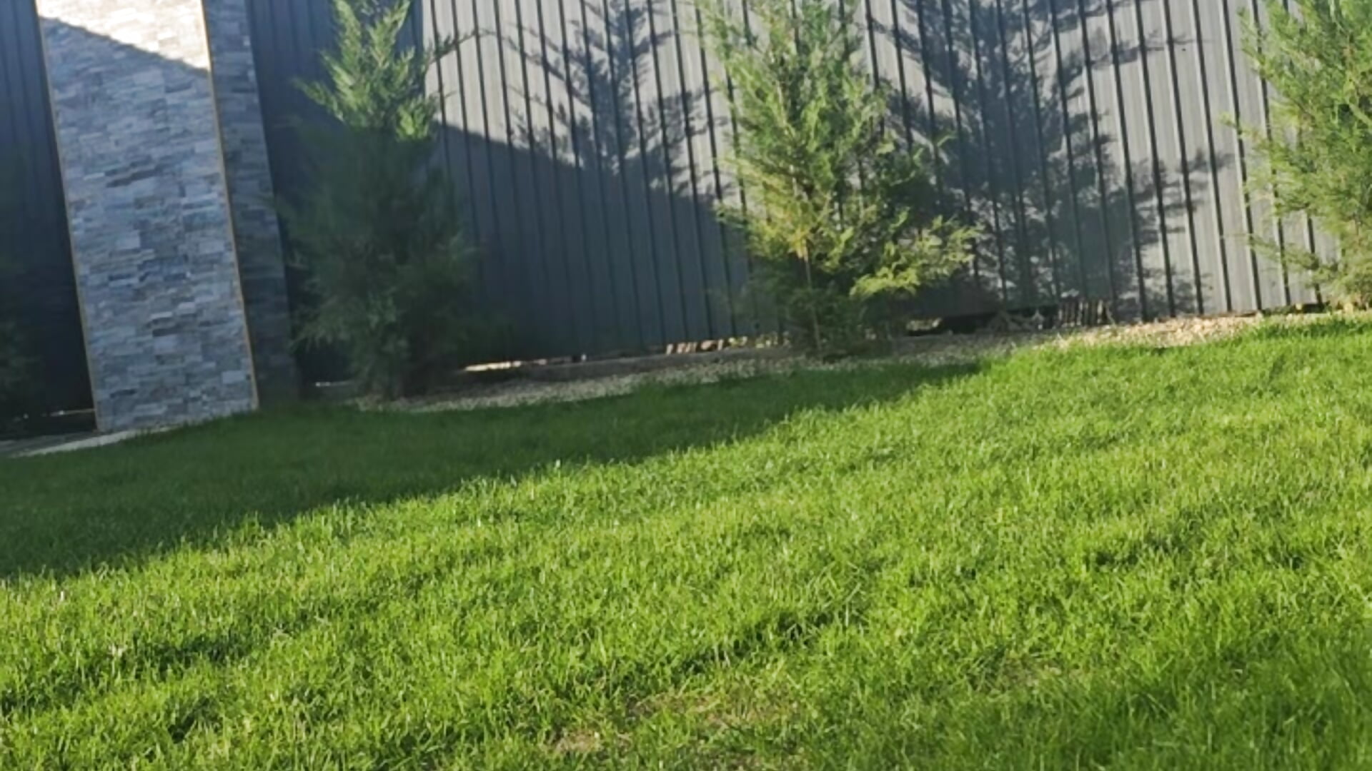 Nice day - video by zoeylarkens cam model