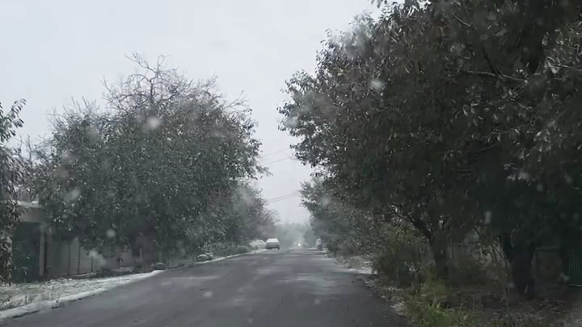 show :) - video di MrrKate modella di cam