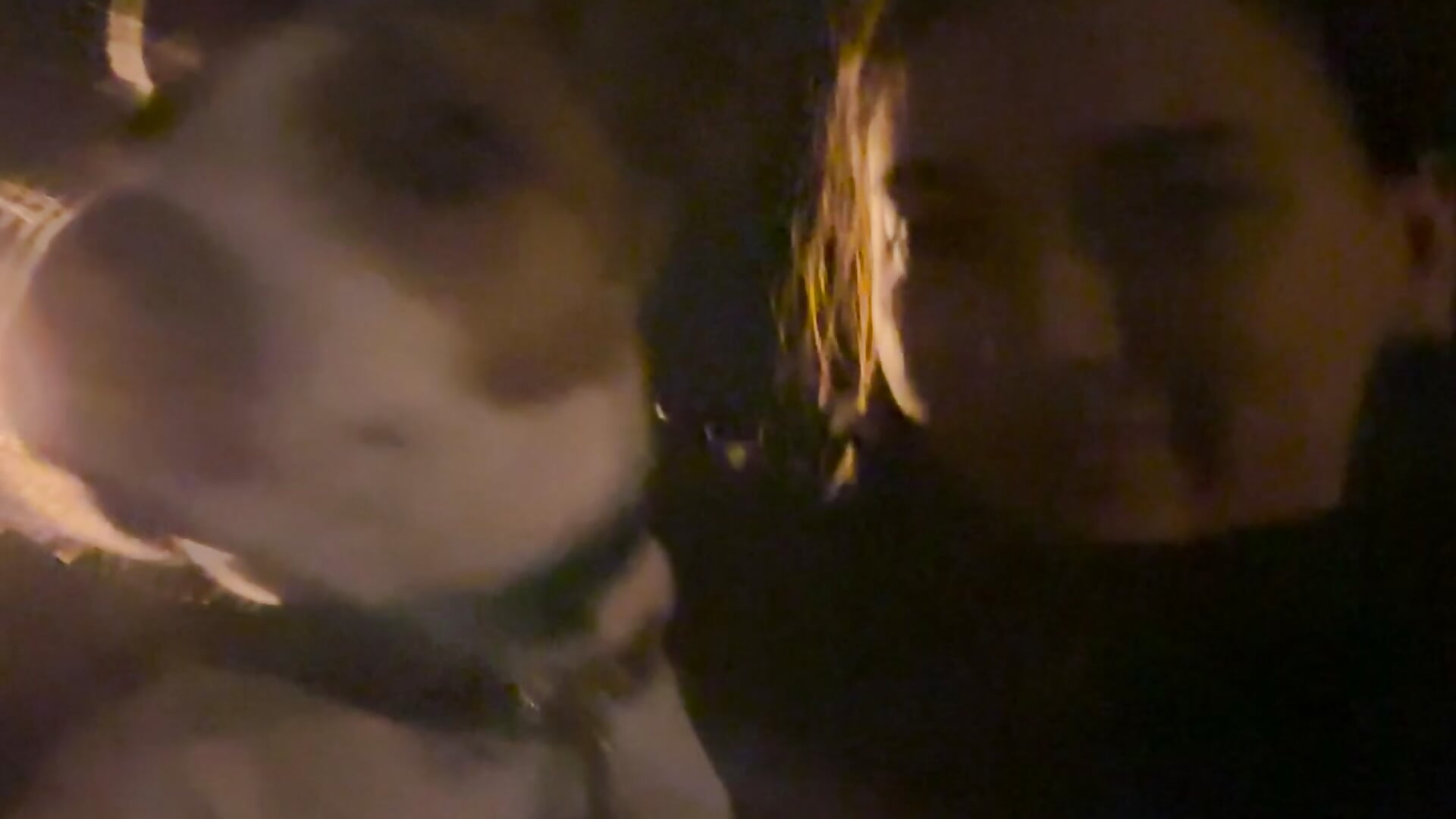 Dog Patron - video di MrrKate modella di cam