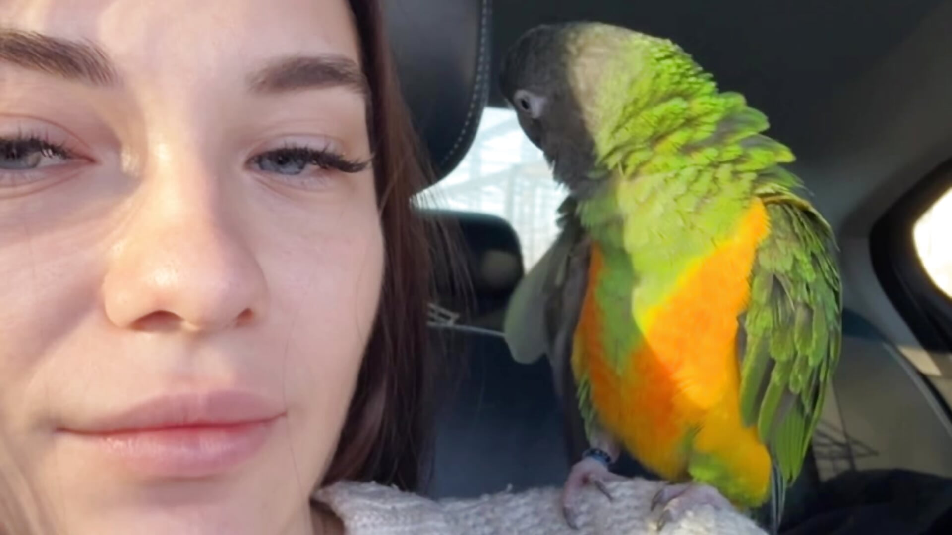 Myyy babeeee - video di MrrKate modella di cam