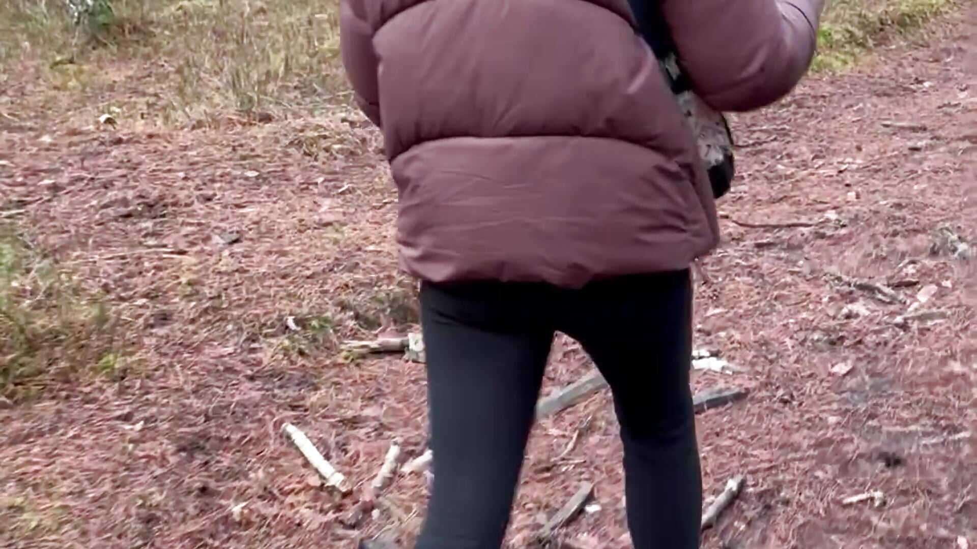 Walk in forest