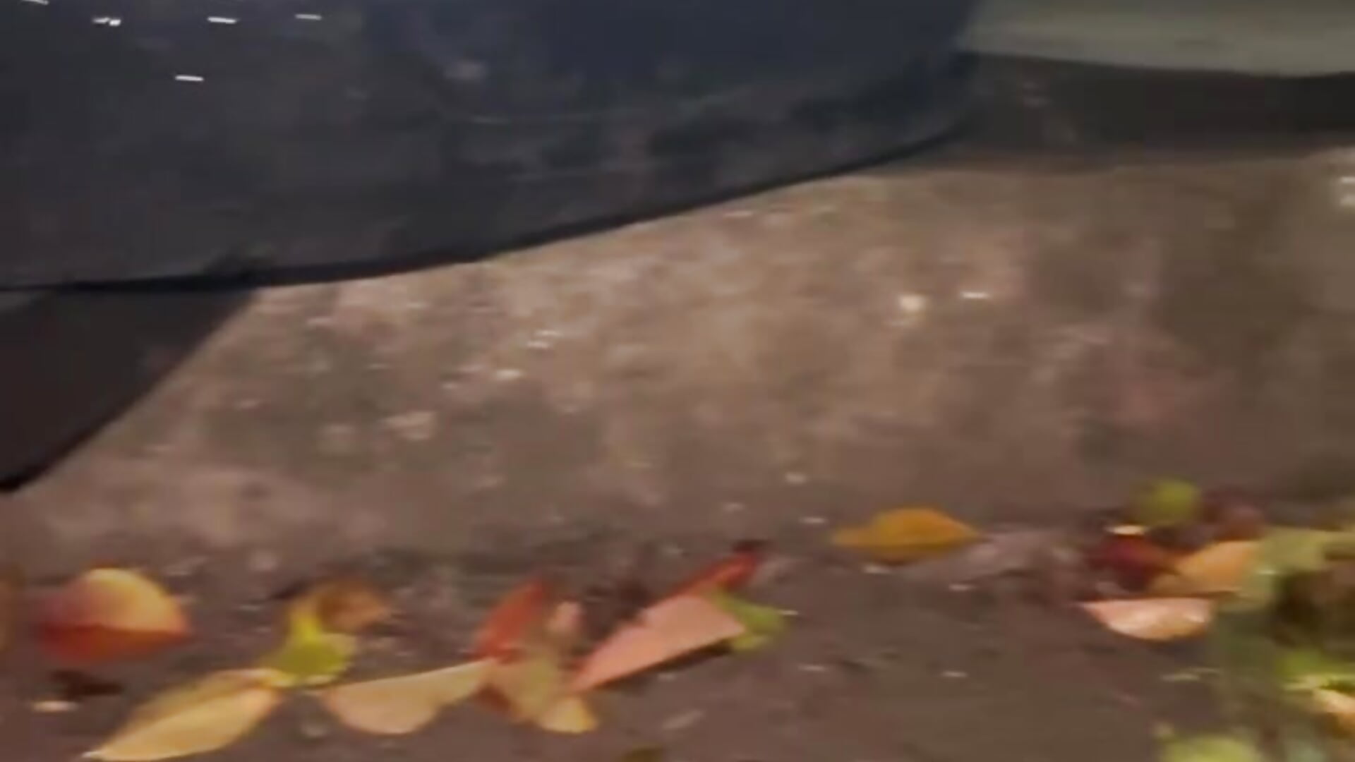 its pizdets... - video di MrrKate modella di cam