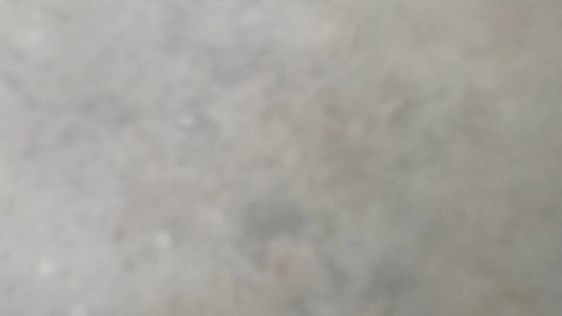 VID_20250405_161531 - video by black77SL cam model