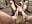 Oldie but a goodie..!! Foot job - vídeo de Tattooed-ToryX