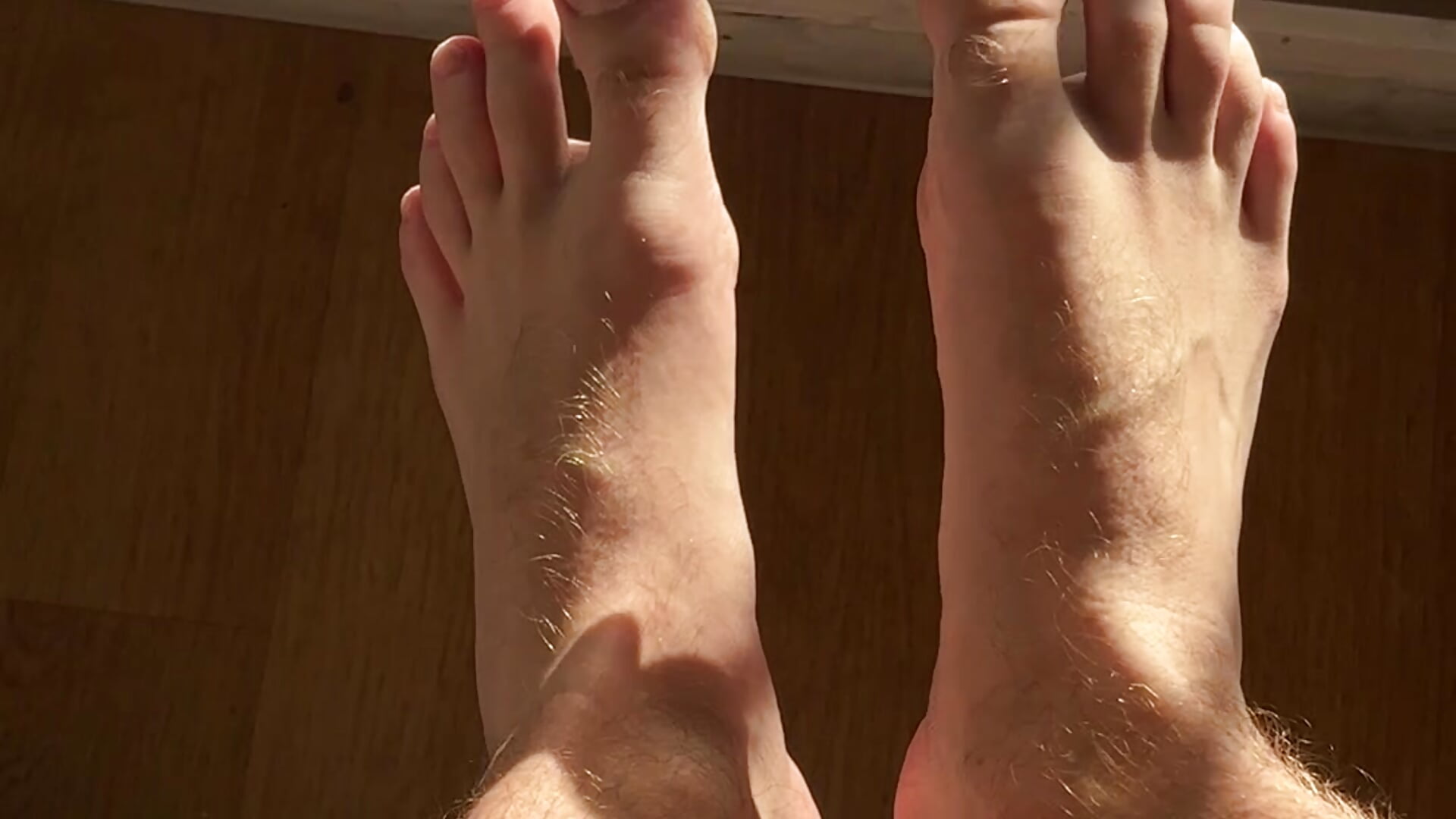 Feet