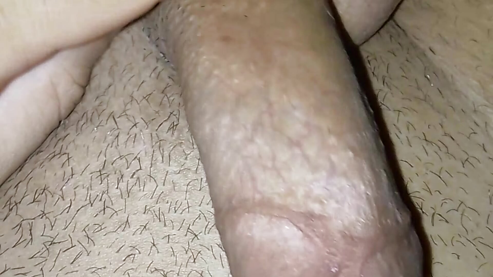 VID_20260311_144555.mp4 - video by simofox88 cam model