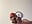 POV : I busted on your face part 2 - video by bigjayy1000 cam model