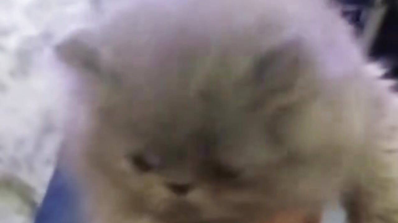 hey - John_los666_hot主播的视频