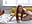 super doggy masturbate - فيديو من Lusy_PickMe موديل الكام