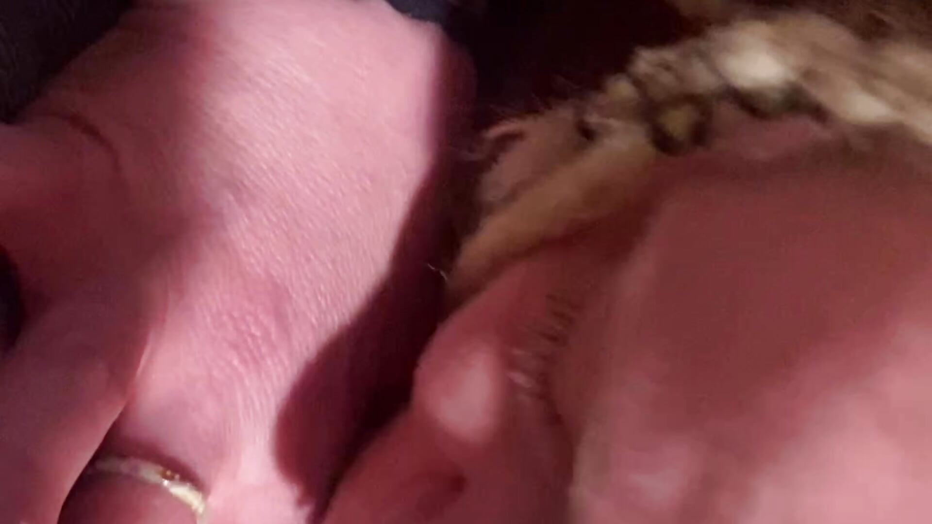 Tinderella2