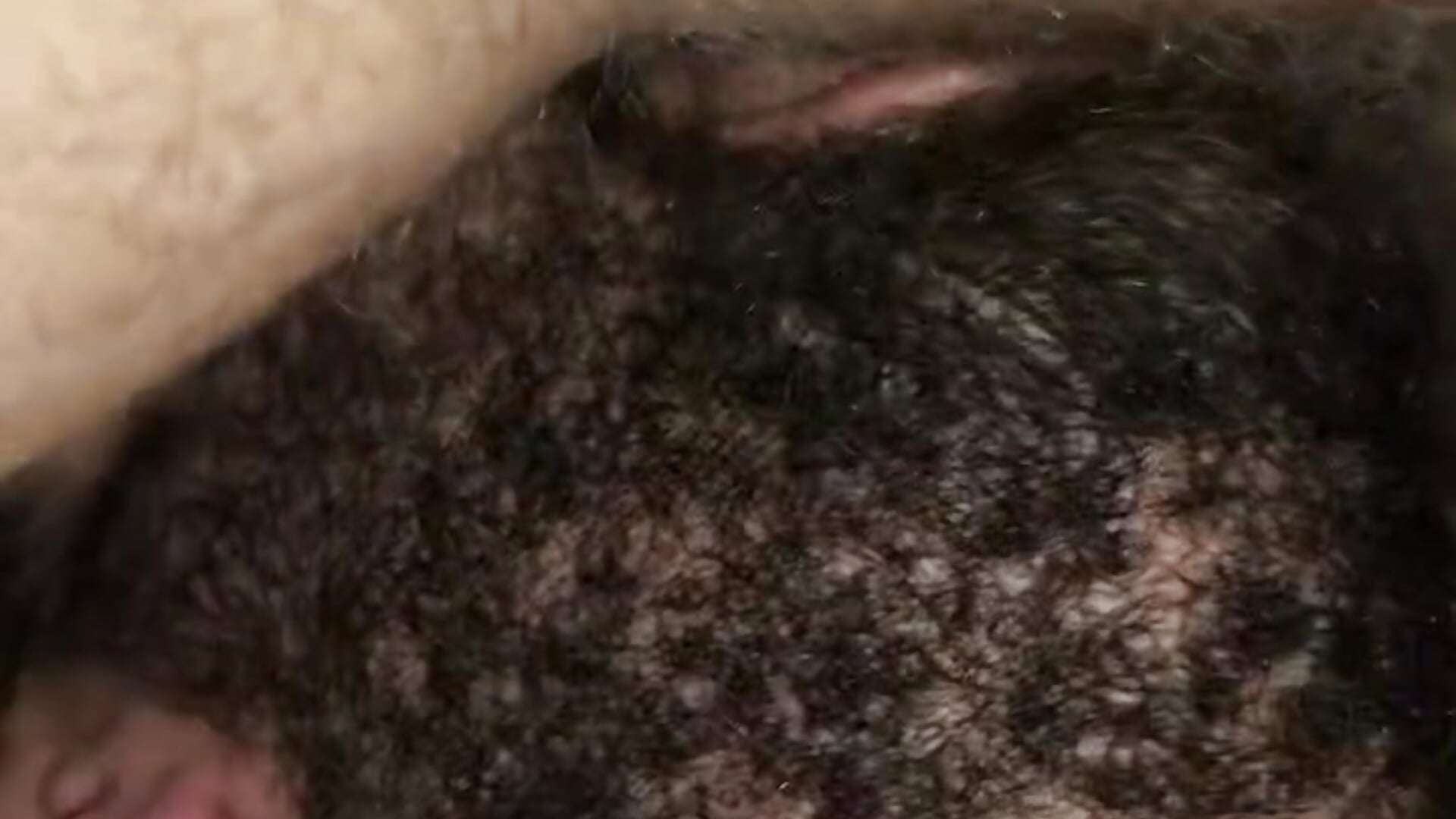 He swallows it whole