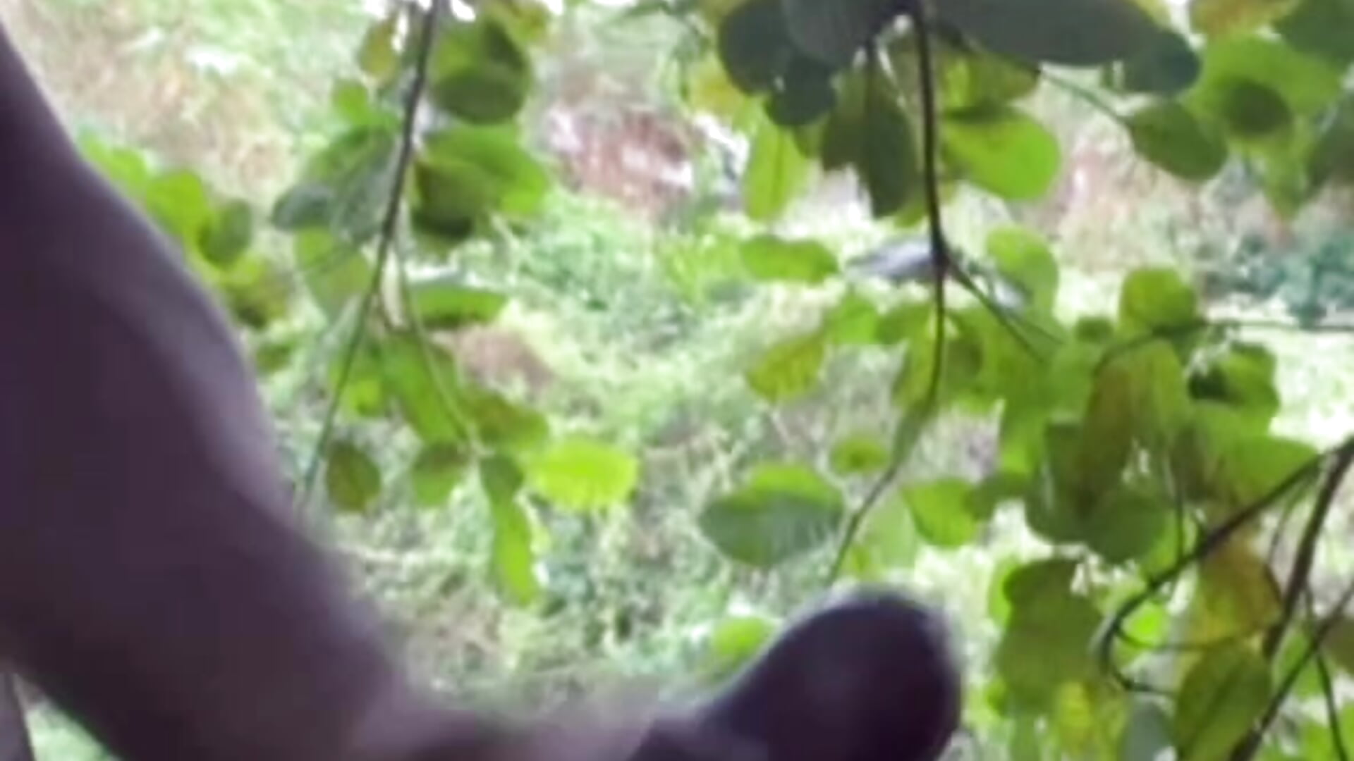 Street cumshot reward for hitting my goal live - vídeo de la modelo de cam Dasul_