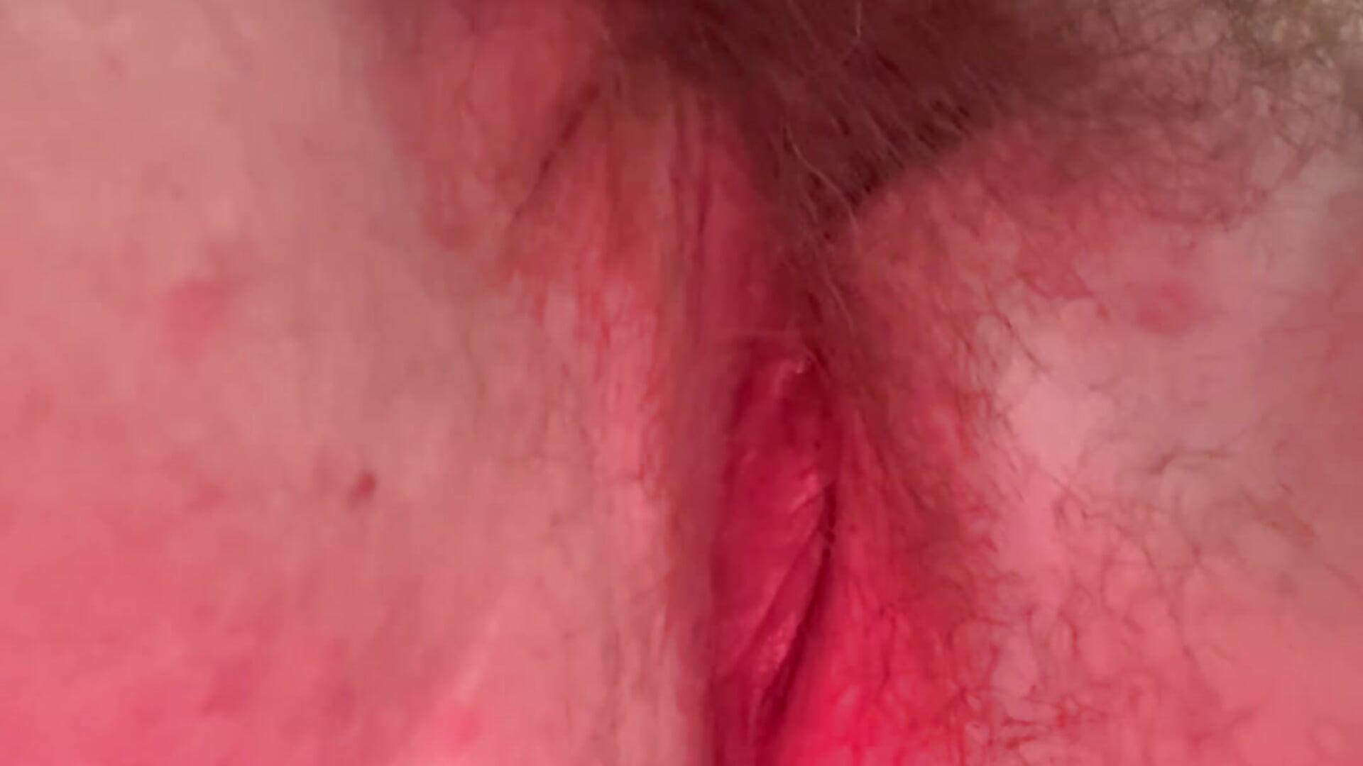 Je m’amuse avec mes poils de chatte
