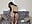 Doggy in stockings - XXX-Video von CathrynCovil