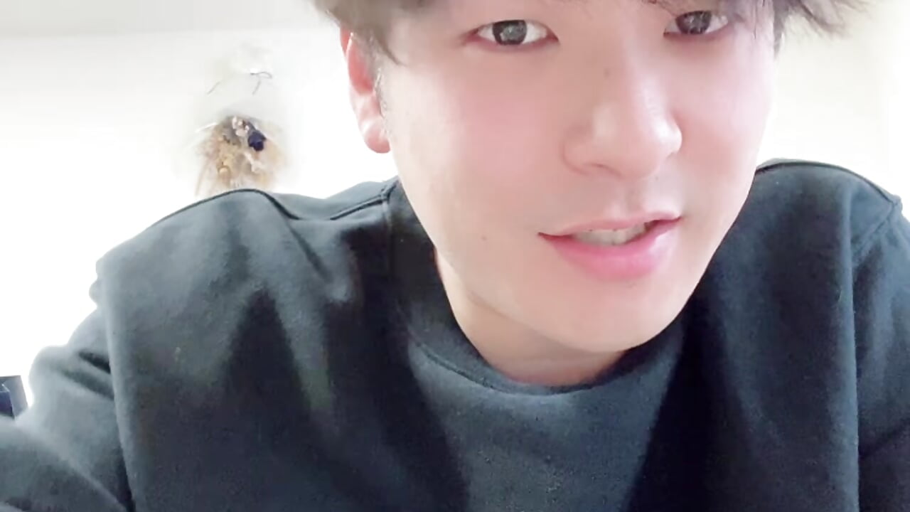 明日の配信 - clip cu yuuki8910 model videochat