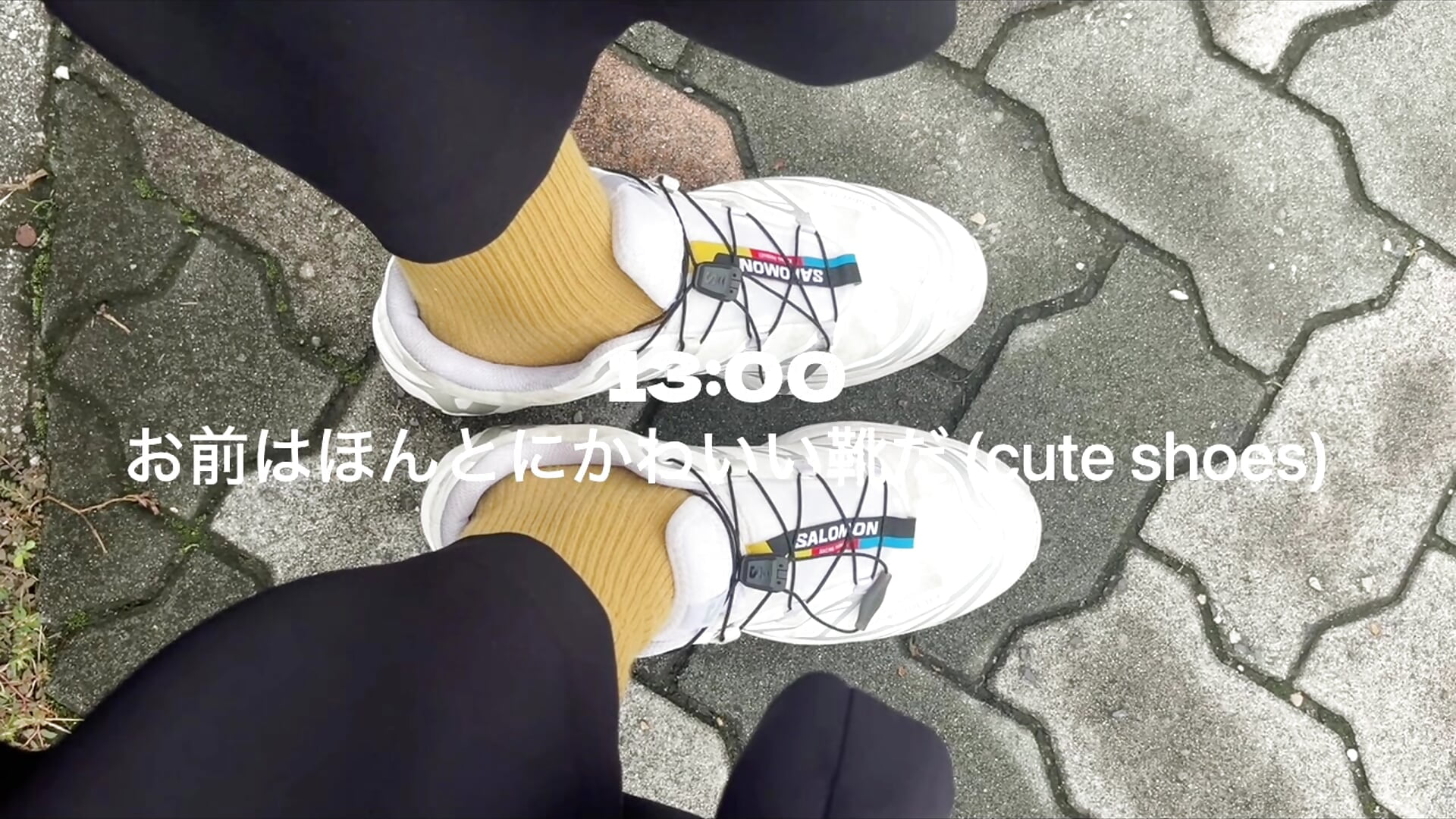 setlog フルver. 2