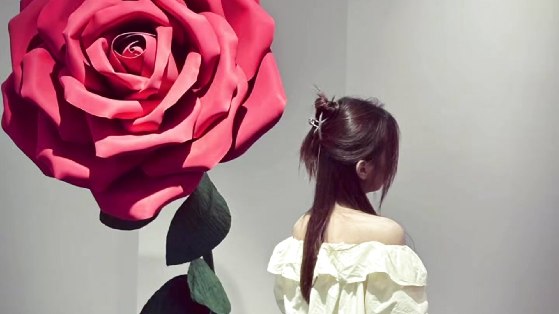 你是我独一无二的玫瑰~💖