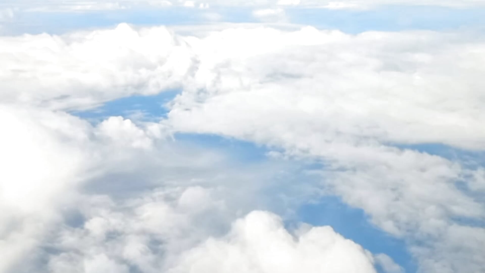 Flight