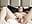 My favorite solo video I’ve made 🤭🍒 - video by riley_ray_69_ cam model