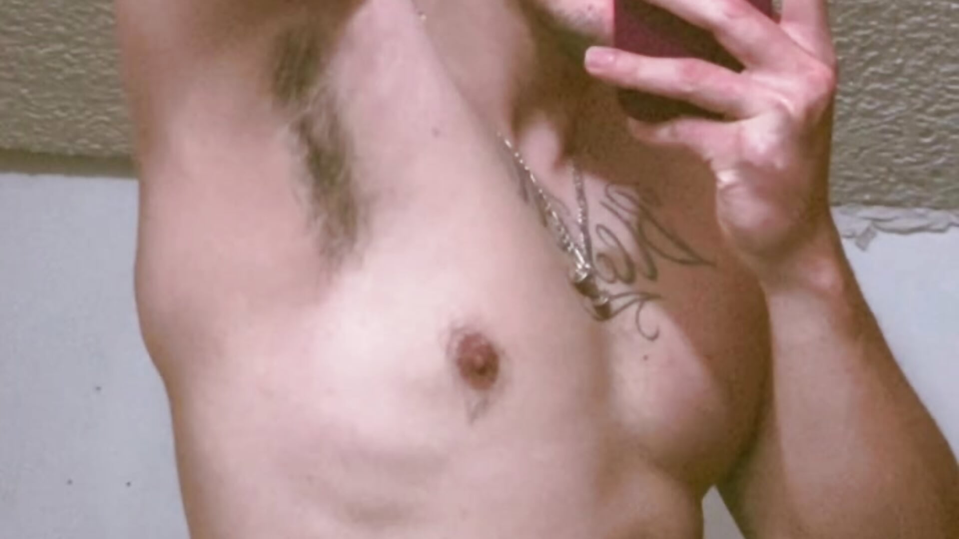 ff8dd737baa04dada9739a4eaa340dde - video van vato-sensillo cam-model