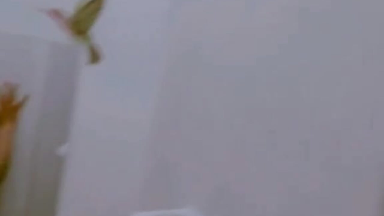 1000027550